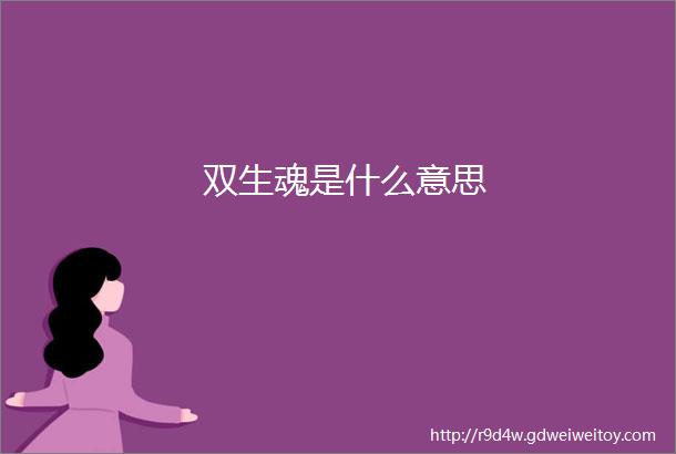 双生魂是什么意思