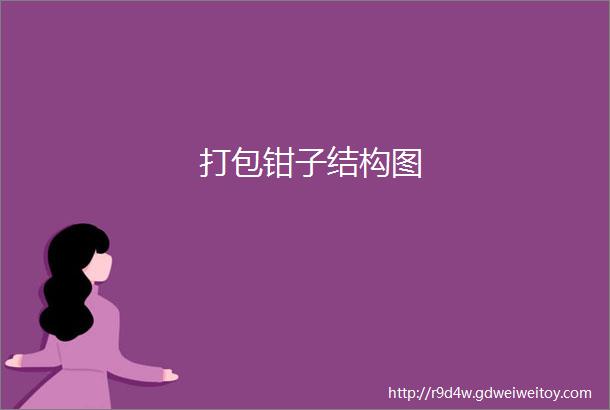 打包钳子结构图